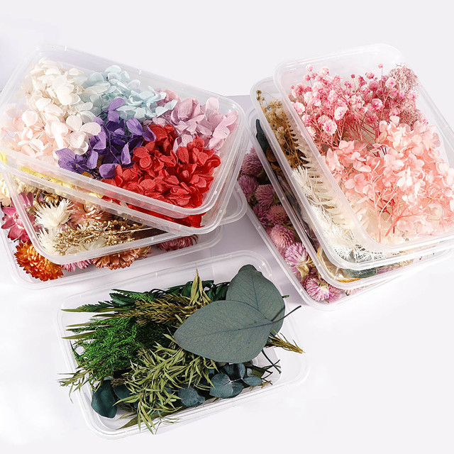 DIY Dried Flower Material Real Pressed Dry Flowers & Leaves Kit